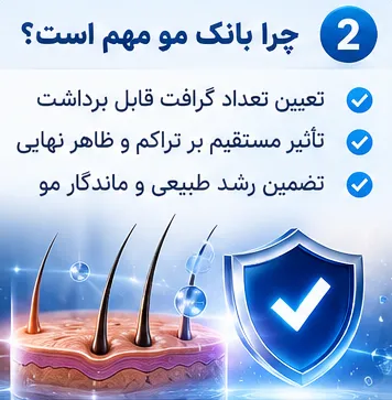 بانک مو چیست و چه نقشی در موفقیت کاشت مو دارد؟ (راهنمای کامل) 2 چرا بانک مو مهم است؟