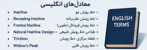 معادل انگلیسی خط رویش مو