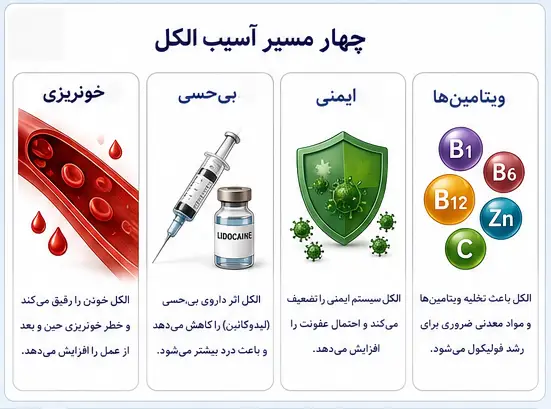 الکل قبل از کاشت مو؛ چند روز قبل نباید مشروب مصرف کرد؟ + بررسی علمی عوارض و زمان قطع الکل 2 چرا مشروب برای کاشت مو ضرر دارد